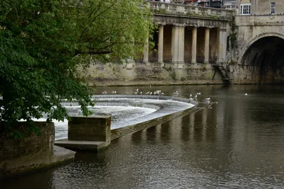 DSC_2584 (Large).JPG